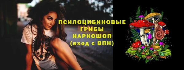стафф Богданович