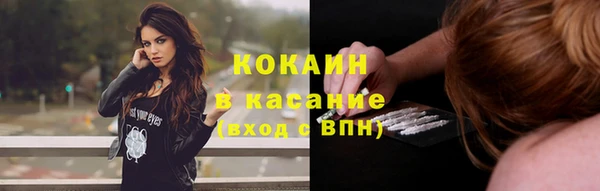 стафф Богданович