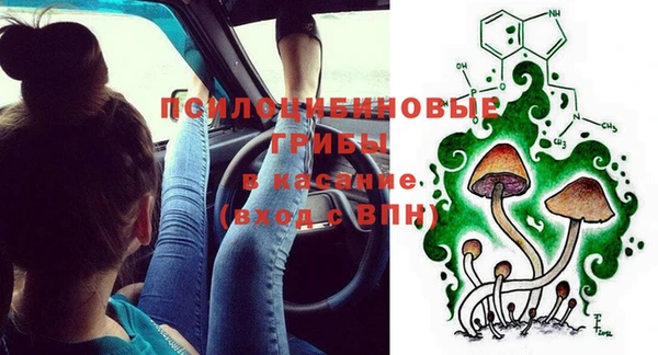 прущий лед Богородицк