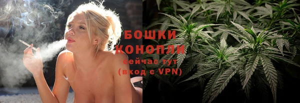 прущий лед Богородицк