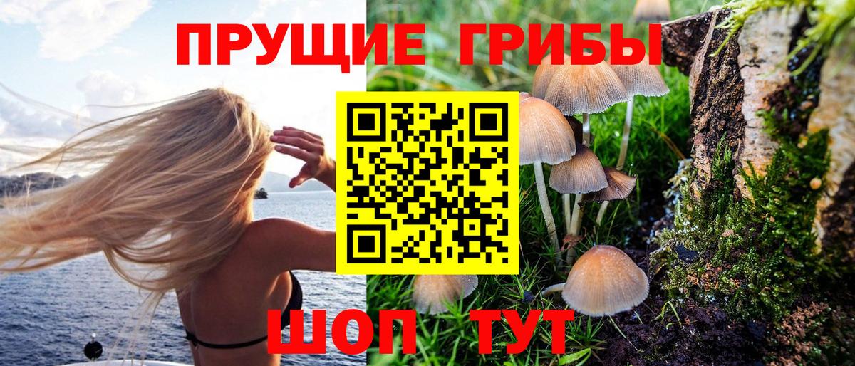 Реж  Псилоцибиновые грибы MAGIC MUSHROOMS  Вход с VPN 